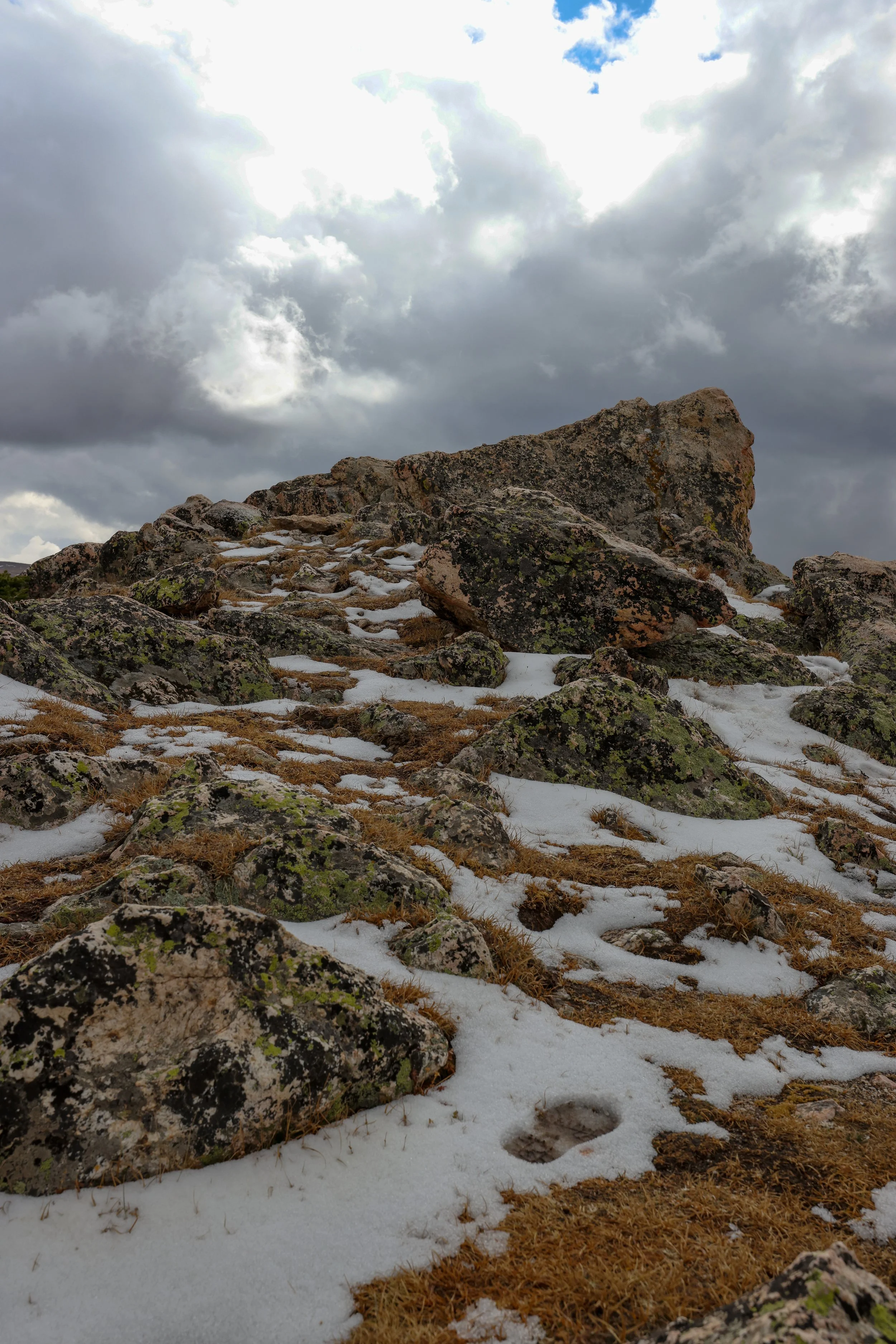 Rocky Mountain — Darkroomeagle